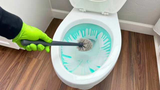 Cleaning Toilet - © 2022 - Clean My Space via You Tube