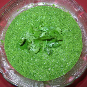 Mint Green Chutney - © 2022 - Marigat via allrecipes.com