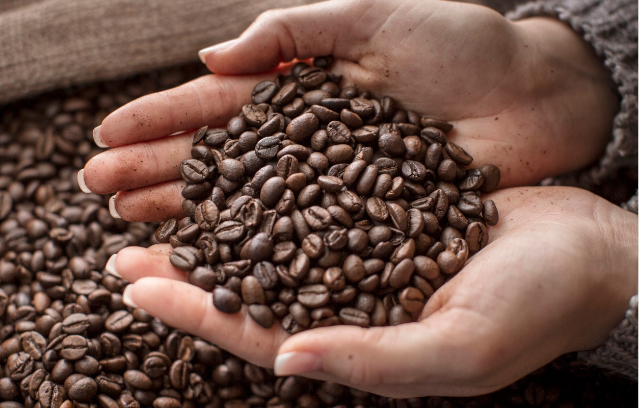 Coffee Beans - © 2023 - bulletproof.com
