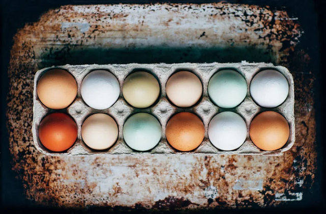 Coloured Eggs - © 2023 - Farmbrite