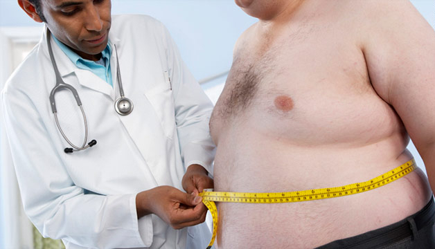 Fattie and Doc - © 2024 - health.com