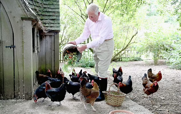 King's Chickens - © 2024 - Highrove House via Getty