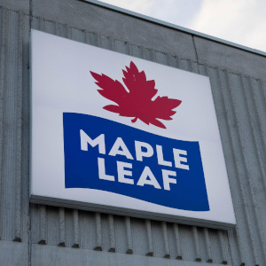 Maple Lead Foods - © 2024 Just Food