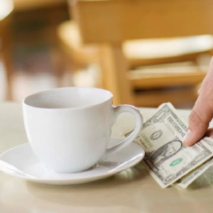Cash Tips - © 2024 - Eagle Owl Inn
