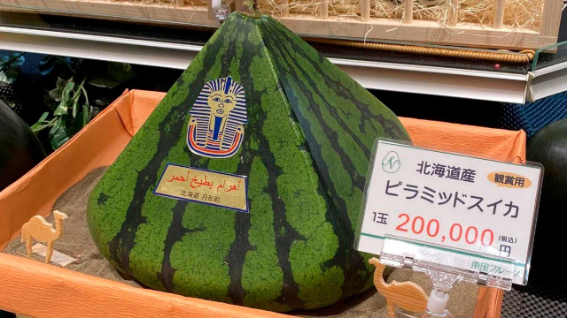 Pyramid Watermelon - © 2024 BaronVonBroccoli via Reddit