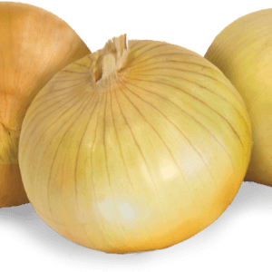 Sweet Onion - © 2024 Bland Farms