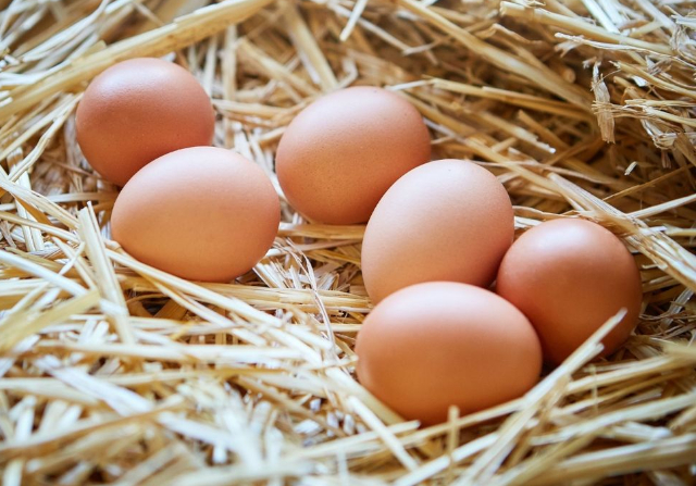 Eggs on Straw - © 2025 Getty