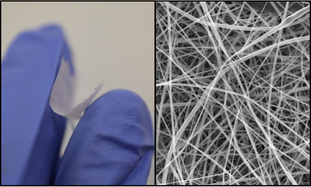 Nanopasta - © 2025 UCL Clancy Lab