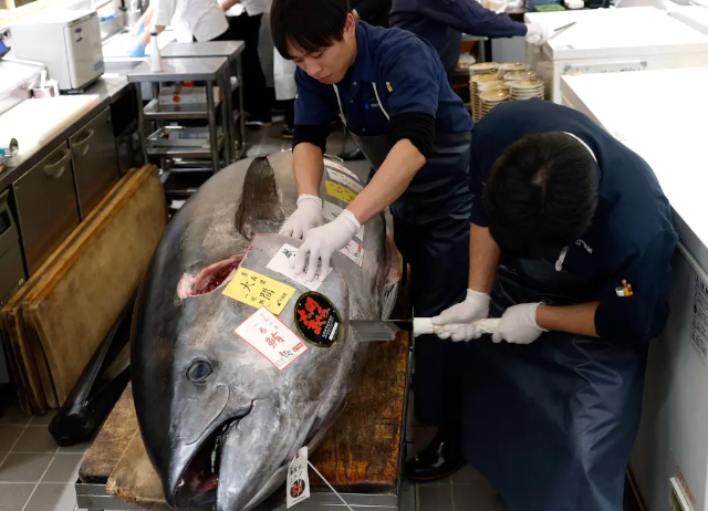 Record Tuna - © 2025 Franck Robichon via EPA-EFE