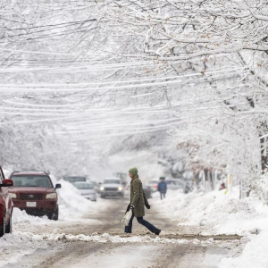 Big Snow - 300 - © 2025 citynews.ca