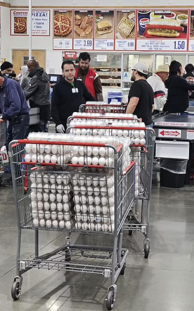 Egg Hoarding - © 2025 cosmicage via Reddit