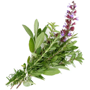 Herbs de Province - © 2019 hqoexpress.com