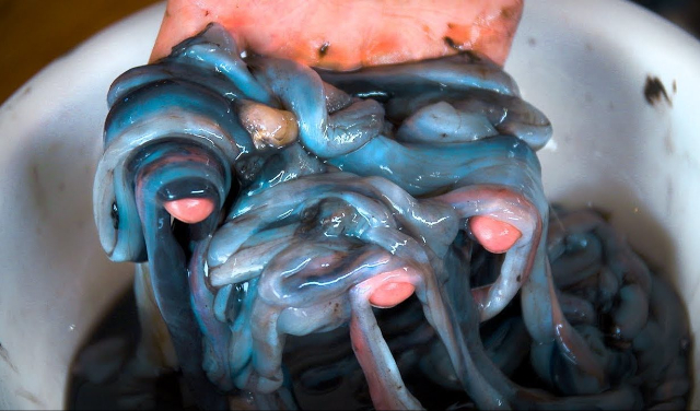 Tomilok - © 2025 Best Ever Food Review Show via YouTube