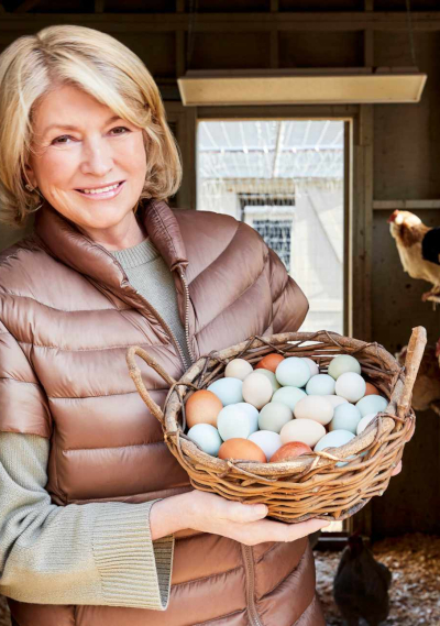 Martha Stewart Eggs - © 2022 Dana Gallagher