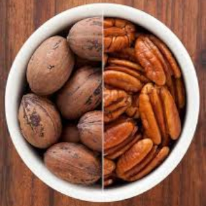 Pecan Nuts - © 2021 myperfectplants.com