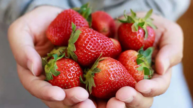 Strawberries in Hands - © 2019 Healthline.com
