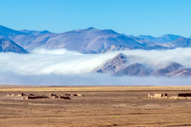 Atacama Fog - © 2025 abriendomundo