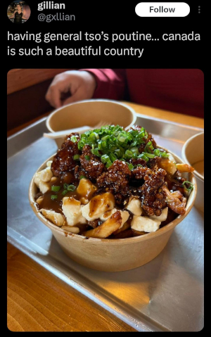 General Tso Poutine - © 2026 gillian@gxillian