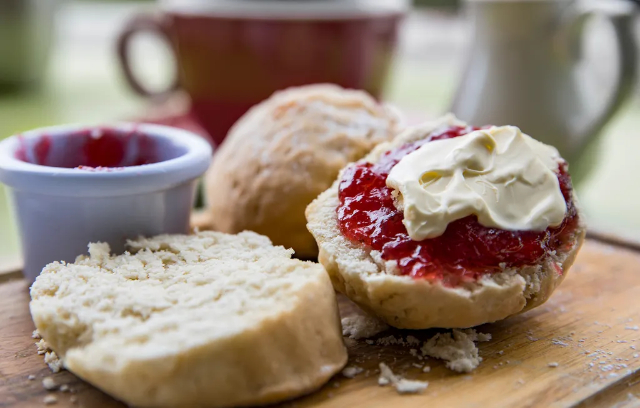Hollywood Scone - ©2023 Pink-Orange-Photography