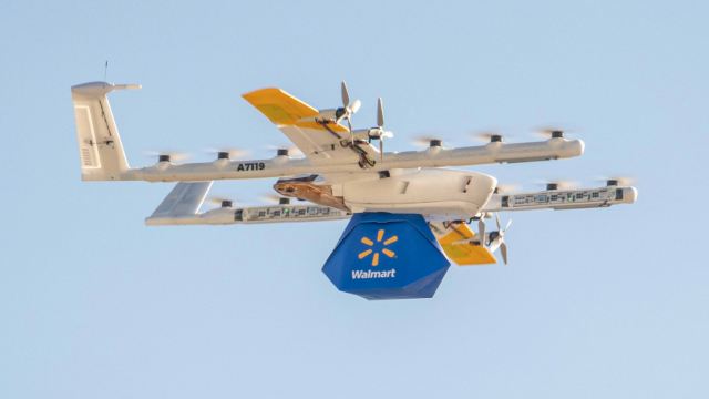 Wing Drone - © 2025 Walmart