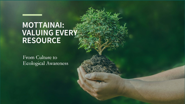 Mottanini - © 2026 Sofiane Gherbi