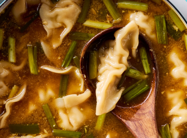 Potsticker Soup - © 2026 Lindo Pugliese