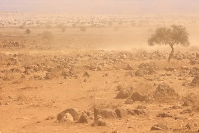 African Drought - © 2026 via The Cool Down