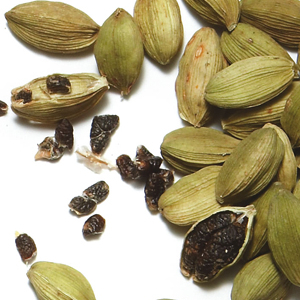 Cardamon Pods & Seeds - © 2026 harkola.online