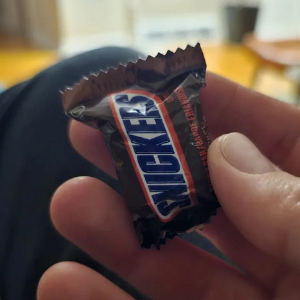 Fun Size Snickers - © 2026 via Reddit