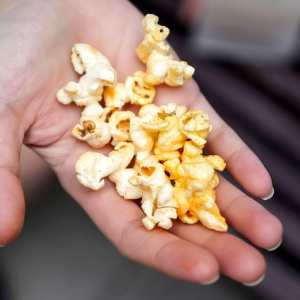 Illini Super-Pop - © 2026 junce