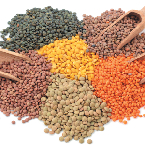 Lentils Array - © 2021 egal