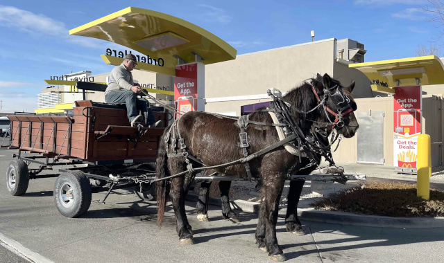 McD's Horse Buggy - © 2026 Mark Davis-Powell Tribune