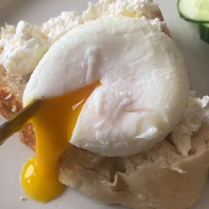 Poached Egg - 300 - © 2026 tinytreatsslab - Instagram