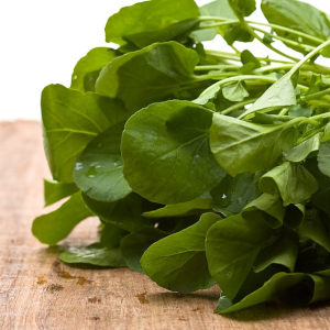 Watercress - © 2026 harvesttotable.com