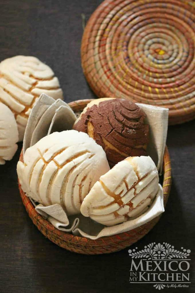 Conchas - © 2026 Mely Martinez