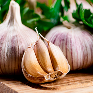 Garlic - © 2026 spider-farmer.com