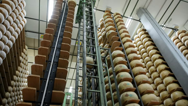 Cheese Bank - ©2026 CNN