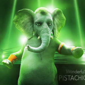 Ernie the Elephant - © 2016 Winderful Pistachios