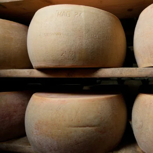 Parmigianao Wheels - © 2026 CNN