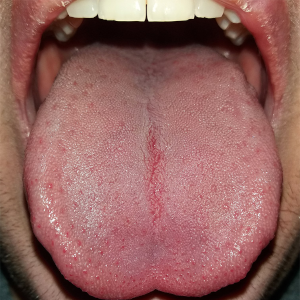Tongue - © 2026 Mahdiabbasinv