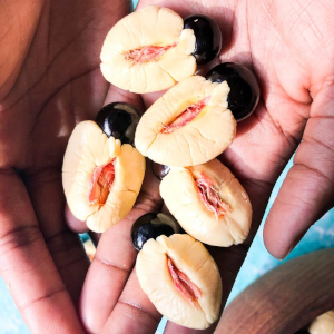 Akee Fruit - 300 - 2 - © 2026 amazingakee.com
