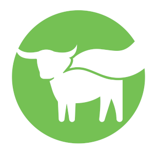Beyond Logo - © 2026 Beyond Foods