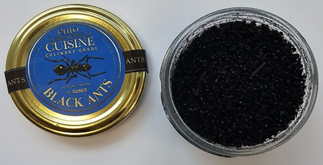 Dried Culinary Grade Ants - © S. Korean Ministry of Food And drug Safety
