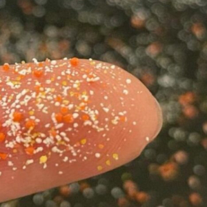 Microplastics Finger - © 2026 tpomag.com