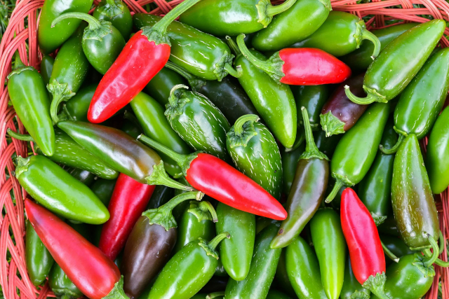 Mixed Jalapeños - © 2025 buckaroopepperjam.com