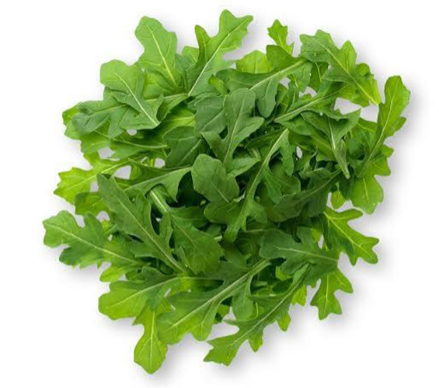 Arugula - 640 - © 2026 lettuceinfo.org