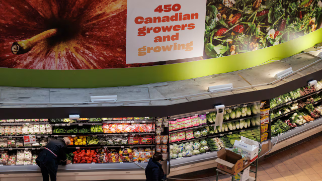 Buy Canadian - © 2025 Evan Mitsui