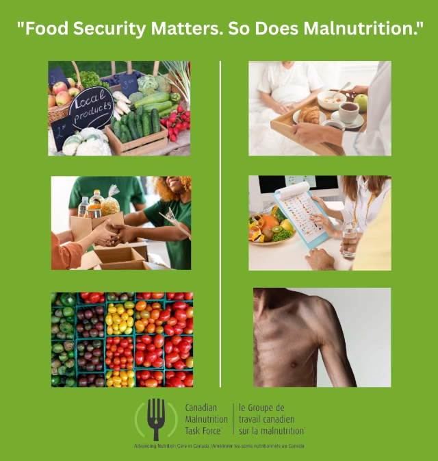 Malnutrition Task Force - © 2026 Malnutrition Task Force