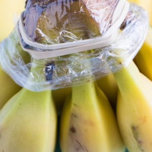 Wrapped Bananas - 300 - © 2025 brooklkynfarmgirl.com