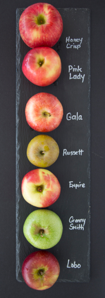 Apple Array - © 2026 Cindy @ saltandserenity